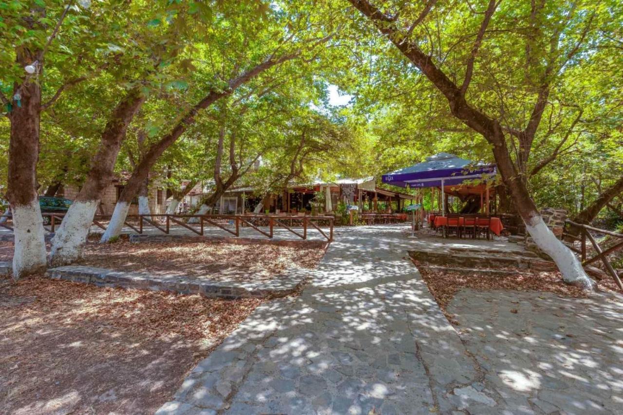 Beachfront Apts, βy Idealstay Experience Fodele